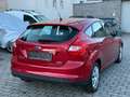 Ford Focus Lim. Trend Garantie* Sitzheizung* Klima* Rot - thumbnail 11