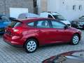 Ford Focus Lim. Trend Garantie* Sitzheizung* Klima* Rot - thumbnail 12