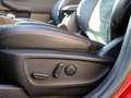 Ford Kuga Phev ST-Line X Tetto Tagliandi FORD IVA DEDUCIBILE Rouge - thumbnail 20