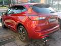 Ford Kuga Phev ST-Line X Tetto Tagliandi FORD IVA DEDUCIBILE Rouge - thumbnail 7
