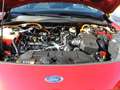 Ford Kuga Phev ST-Line X Tetto Tagliandi FORD IVA DEDUCIBILE Rouge - thumbnail 49