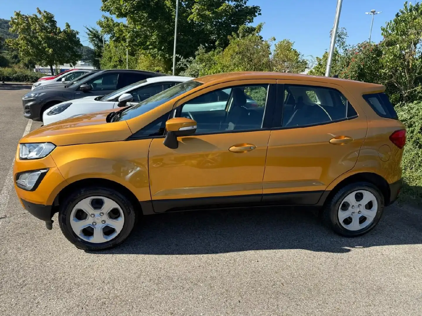 Ford EcoSport Trend Geel - 2