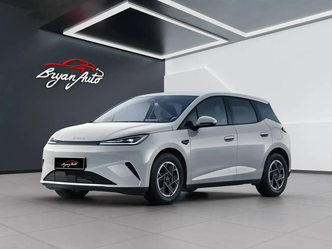 BYD Dolphin surf