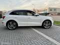 Audi SQ5 3.0 TDI quattro Pro Line l Pano l Carplay Wit - thumbnail 7