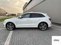 Audi SQ5 3.0 TDI quattro Pro Line l Pano l Carplay Wit - thumbnail 2