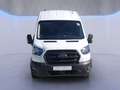Ford Transit Kasten Trend 350L3H3 *EXPRESS-LINE-PAKET* Weiß - thumbnail 9