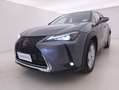 Lexus UX 250h Hybrid Business 2.0 Full Hybrid 184CV Grigio - thumbnail 9