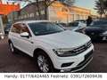 Volkswagen Tiguan 2.0 TDI LED/NAVI/SHZ/HEAD-UP/PDC/KAMERA - thumbnail 4