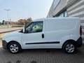 Fiat Doblo Bianco - thumbnail 3