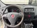 Fiat Doblo Bianco - thumbnail 12