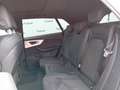 Audi Q8 50 TDI Black line plus quattro tiptronic Gris - thumbnail 4