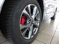 Ford Kuga 2.0 EcoBlue 4x4 Aut. ST-LINE X iACC,LED,GJR Grau - thumbnail 8
