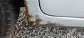 Ford Focus Traveller Trend 1,6 TDCi - thumbnail 7