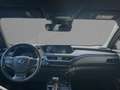 Lexus UX 250h Launch Edition Navigation Kamera Gümüş rengi - thumbnail 10