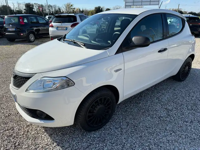 Lancia Ypsilon Ypsilon Elefantino Blu 1.2 IDONEA PER NEOPATENTATI