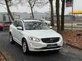 Volvo XC60 Momentum EU6/Panorama/Navi/1.Hand/73.500km Weiß - thumbnail 1