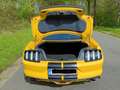 Ford Mustang Mustang 2.3 Eco Boost Jaune - thumbnail 11