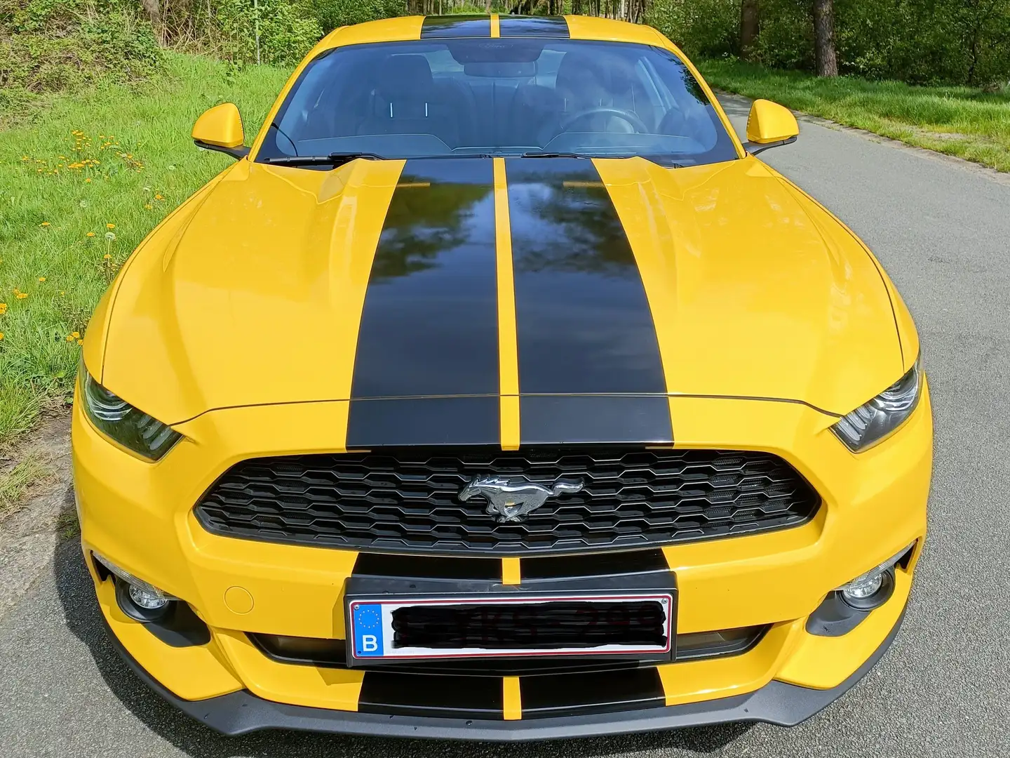 Ford Mustang Mustang 2.3 Eco Boost Geel - 1