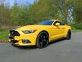 Ford Mustang Mustang 2.3 Eco Boost Jaune - thumbnail 10