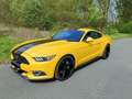 Ford Mustang Mustang 2.3 Eco Boost Jaune - thumbnail 4