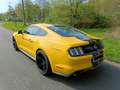Ford Mustang Mustang 2.3 Eco Boost Geel - thumbnail 2