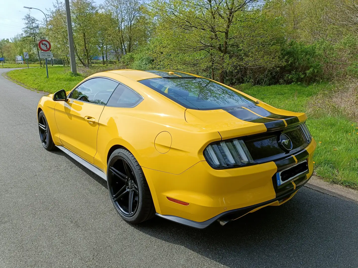 Ford Mustang Mustang 2.3 Eco Boost Jaune - 2