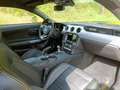 Ford Mustang Mustang 2.3 Eco Boost Jaune - thumbnail 16