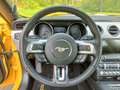 Ford Mustang Mustang 2.3 Eco Boost Jaune - thumbnail 19
