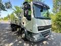 DAF 45.210/Dreiseitenkipper/Klima/1. Hand/4,30m Lade Weiß - thumbnail 1