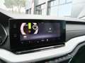 Skoda Octavia Octavia Wagon 2.0 tdi evo Style 115cv dsg Gris - thumbnail 15
