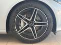 Mercedes-Benz C 300 d Lim. Burm 360 KAM DigitalLight Ambiente Argent - thumbnail 11