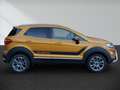 Ford EcoSport 1.0 Aut. TITANIUM Allwetter SHZ LHZ PDC NAVI BT - thumbnail 3