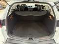 Ford Focus Wagon 1.0 EcoB. Titanium Bovag garantie Wit - thumbnail 25