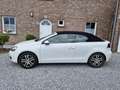 Volkswagen Golf Cabriolet Golf Cabriolet 1.6 CR TDi Wit - thumbnail 4