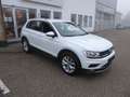 Volkswagen Tiguan 2,0 TDI DSG Highline *AHK*SHZ* Weiß - thumbnail 7