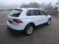 Volkswagen Tiguan 2,0 TDI DSG Highline *AHK*SHZ* Weiß - thumbnail 6