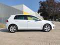 Volkswagen Golf 1.6TDI CR BMT Advance 110 Blanco - thumbnail 7