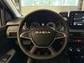 Dacia Sandero Stepway 1.1 TCe 110 Extreme Open dak, PDC, Navi Groen - thumbnail 21