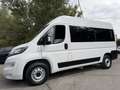 Fiat Ducato Shuttle 35 L2H2 (103kW) Aut. Blanco - thumbnail 48