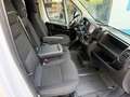 Fiat Ducato Shuttle 35 L2H2 (103kW) Aut. Blanco - thumbnail 29