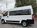 Fiat Ducato Shuttle 35 L2H2 (103kW) Aut. Blanco - thumbnail 46