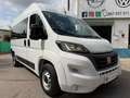 Fiat Ducato Shuttle 35 L2H2 (103kW) Aut. Blanco - thumbnail 2