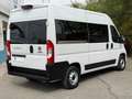 Fiat Ducato Shuttle 35 L2H2 (103kW) Aut. Blanco - thumbnail 42