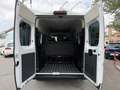 Fiat Ducato Shuttle 35 L2H2 (103kW) Aut. Blanco - thumbnail 6
