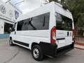 Fiat Ducato Shuttle 35 L2H2 (103kW) Aut. Blanco - thumbnail 45