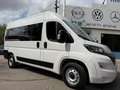 Fiat Ducato Shuttle 35 L2H2 (103kW) Aut. Blanco - thumbnail 38