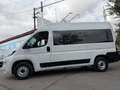 Fiat Ducato Shuttle 35 L2H2 (103kW) Aut. Blanco - thumbnail 50