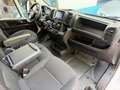Fiat Ducato Shuttle 35 L2H2 (103kW) Aut. Blanco - thumbnail 31