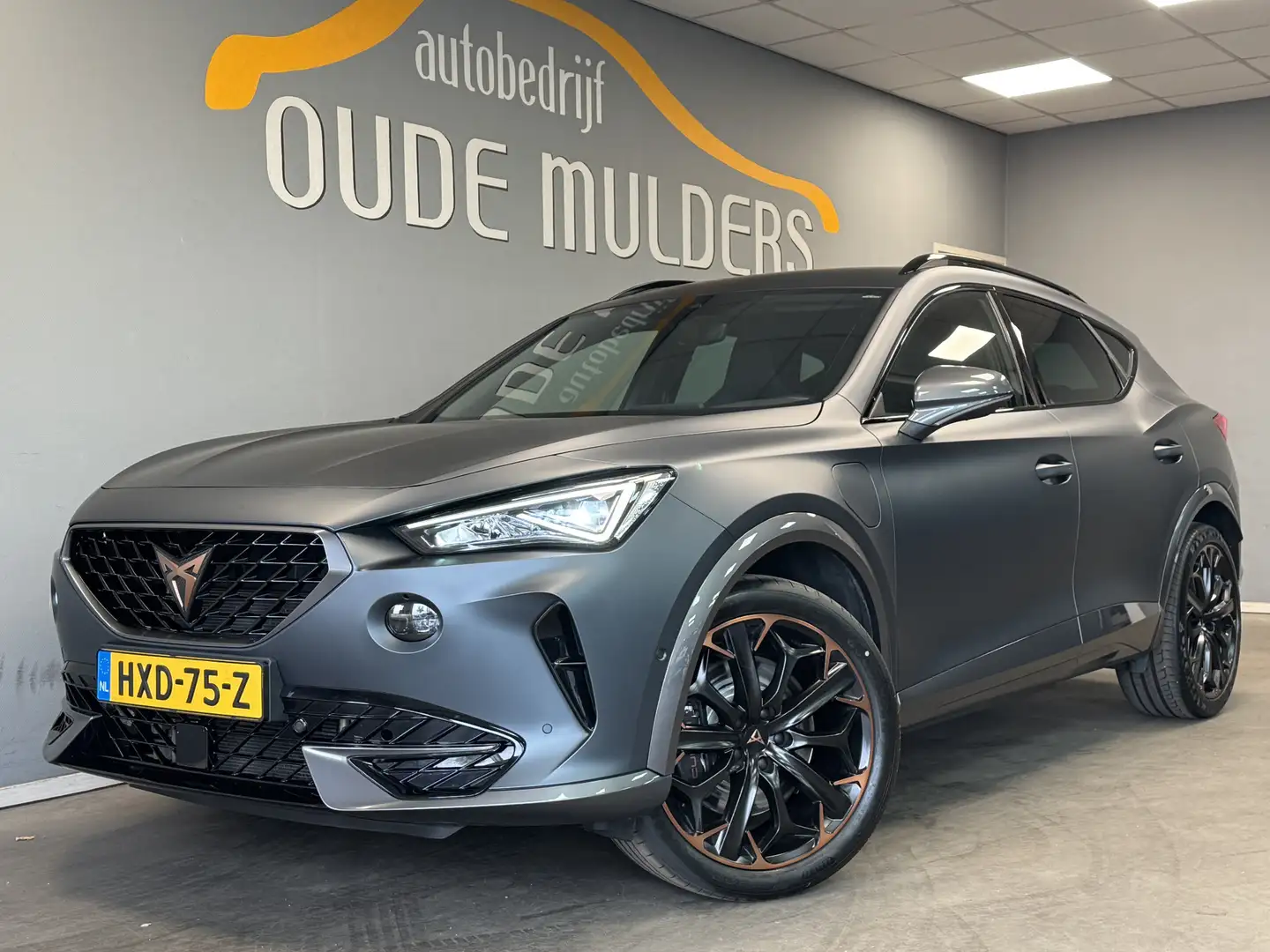 CUPRA Formentor 1.4 VZ Mat grijs/Leder/Camera/Cupra knoppen Grijs - 1