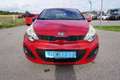Kia Rio 1.2 Cool 5-türig Rot - thumbnail 1